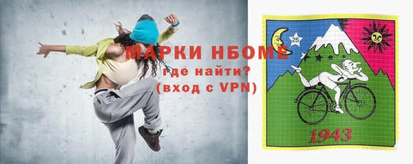 индика Абинск