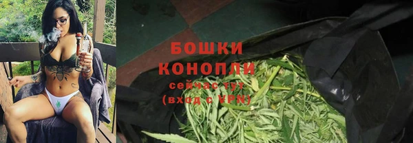 индика Абинск