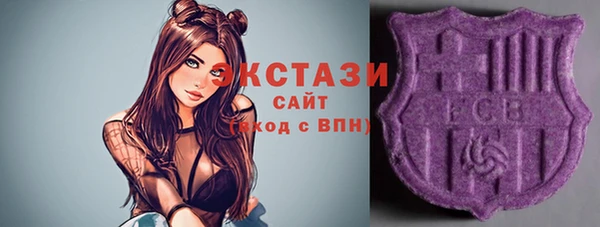 индика Абинск