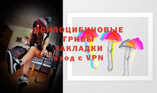 индика Абинск