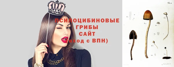 кокс Абдулино