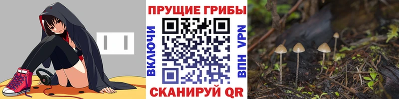 Псилоцибиновые грибы прущие грибы  Заринск 
